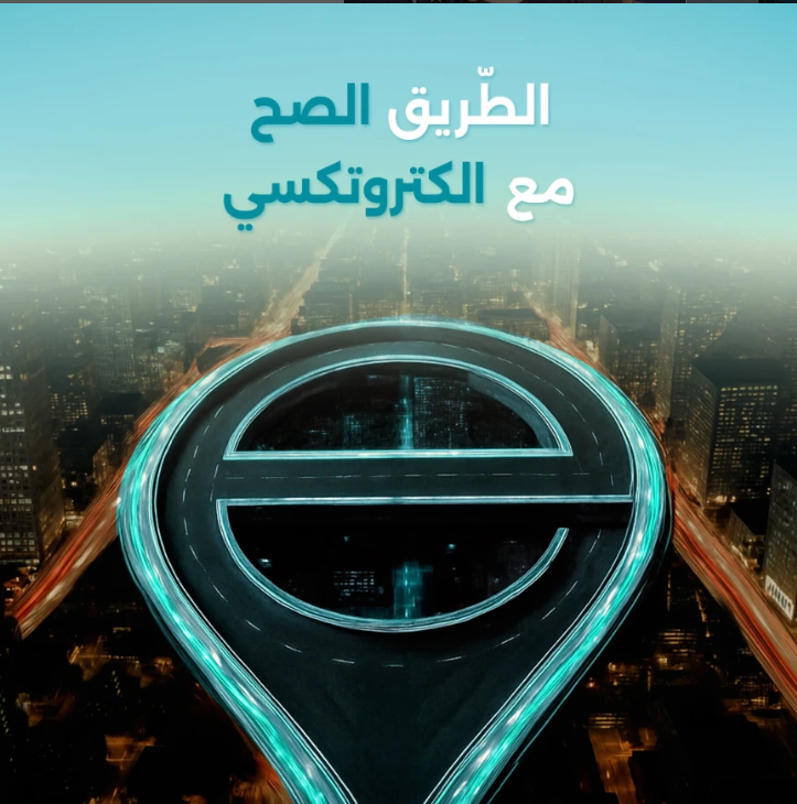 Electro Taxi — driver details